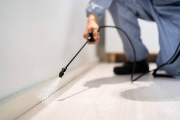 Certified termite inspector examining foundation in Grand Rapids